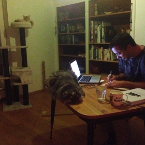 2015 liam proofreading with cats